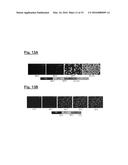 POLYMER-DISPERSED BLUE-PHASE LIQUID CRYSTAL FILMS diagram and image