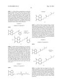 SULFONIC ACID DERIVATIVE COMPOUNDS AS PHOTOACID GENERATORS IN RESIST     APPLICATIONS diagram and image