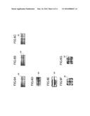 IMAGE PROCESSING APPARATUS, IMAGE PROCESSING METHOD, AND STORAGE MEDIUM diagram and image