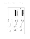 VIDEO DISPLAY METHOD USING VISIBLE LIGHT COMMUNICATION IMAGE INCLUDING     STRIPE PATTERNS HAVING DIFFERENT PITCHES diagram and image