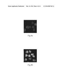 NON-METALLIC SEMICONDUCTOR QUANTUM DOT AND METHOD OF CARRYING OUT CHEMICAL     REACTION OR PHOTOLUMINESCENCE REACTION BY USING THE SAME diagram and image