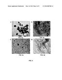 TUNGSTEN OXIDE MODIFIED ORDERED MESOPOROUS CARBON CATALYST FOR FORMIC ACID     OXIDATION IN DIRECT FORMIC ACID FUEL CELLS diagram and image