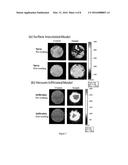 Ultraviolet Disinfection of Produce, Liquids and Surfaces diagram and image