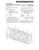 BIOABSORBABLE POLYMERIC MEDICAL DEVICE diagram and image