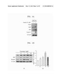 COMPOSITION COMPRISING FARNESOL AND USE THEREOF diagram and image