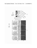 COMPOSITION COMPRISING FARNESOL AND USE THEREOF diagram and image