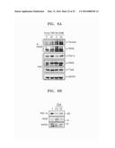 COMPOSITION COMPRISING FARNESOL AND USE THEREOF diagram and image