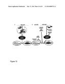 MODULATION OF REACTIVATION OF A LATENT VIRUS diagram and image
