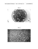 FERMENTED FOOD IMPROVING BOWEL FUNCTIONS WITH STERCORAL REMOVAL EFFICIENCY     AND MANUFACTURING METHOD THEREOF diagram and image