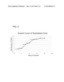 COMPOSITION FOR NOURISHING INJURED HUMAN TROPHOBLAST CELLS AND INHIBITING     APOPTOSIS THEREIN diagram and image