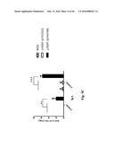 Genetically Modified Yersinia as Vaccines Against Yersinia Species diagram and image