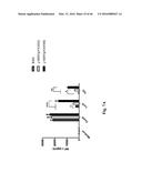 Genetically Modified Yersinia as Vaccines Against Yersinia Species diagram and image