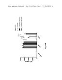 Genetically Modified Yersinia as Vaccines Against Yersinia Species diagram and image