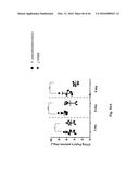 Genetically Modified Yersinia as Vaccines Against Yersinia Species diagram and image