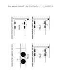 System For Improving Performance Of Wheel Chock Safety Procedures diagram and image