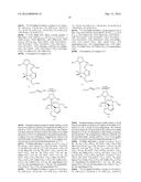 RUTHENIUM-BASED COMPLEXES, THEIR PREPARATION AND USE AS CATALYSTS diagram and image