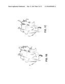 ANTI-ANGIOGENIC AGENT AND METHODS OF USING SUCH AGENT diagram and image