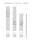 ANTI-MUCIN ANTIBODIES FOR EARLY DETECTION AND TREATMENT OF PANCREATIC     CANCER diagram and image