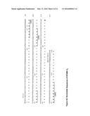 ANTI-MUCIN ANTIBODIES FOR EARLY DETECTION AND TREATMENT OF PANCREATIC     CANCER diagram and image