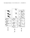 ANTI-MUCIN ANTIBODIES FOR EARLY DETECTION AND TREATMENT OF PANCREATIC     CANCER diagram and image