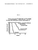 ANTI-MUCIN ANTIBODIES FOR EARLY DETECTION AND TREATMENT OF PANCREATIC     CANCER diagram and image