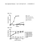 ANTI-MUCIN ANTIBODIES FOR EARLY DETECTION AND TREATMENT OF PANCREATIC     CANCER diagram and image