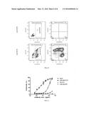 Construction and application of bispecific antibody EpCAMxCD3 diagram and image