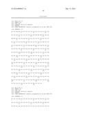 POLYPEPTIDE, ANTI-VEGF ANTIBODY, AND ANTI-C-MET/ANTI-VEGF BISPECIFIC     ANTIBODIES COMPRISING THE SAME diagram and image