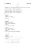 POLYPEPTIDE, ANTI-VEGF ANTIBODY, AND ANTI-C-MET/ANTI-VEGF BISPECIFIC     ANTIBODIES COMPRISING THE SAME diagram and image