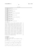 POLYPEPTIDE, ANTI-VEGF ANTIBODY, AND ANTI-C-MET/ANTI-VEGF BISPECIFIC     ANTIBODIES COMPRISING THE SAME diagram and image