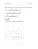 POLYPEPTIDE, ANTI-VEGF ANTIBODY, AND ANTI-C-MET/ANTI-VEGF BISPECIFIC     ANTIBODIES COMPRISING THE SAME diagram and image