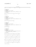 POLYPEPTIDE, ANTI-VEGF ANTIBODY, AND ANTI-C-MET/ANTI-VEGF BISPECIFIC     ANTIBODIES COMPRISING THE SAME diagram and image