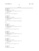 POLYPEPTIDE, ANTI-VEGF ANTIBODY, AND ANTI-C-MET/ANTI-VEGF BISPECIFIC     ANTIBODIES COMPRISING THE SAME diagram and image