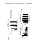 A PROCESS FOR THE PRODUCTION OF ADENOVIRUS diagram and image