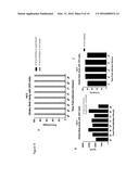 A PROCESS FOR THE PRODUCTION OF ADENOVIRUS diagram and image