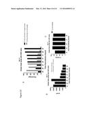 A PROCESS FOR THE PRODUCTION OF ADENOVIRUS diagram and image