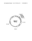 Production of Polypeptides Relevant to Human and Animal Health Using     Yarrowia lipolytica diagram and image