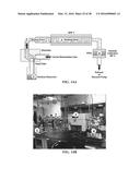 DELIVERY PLATFORMS FOR THE DOMESTICATION OF ALGAE AND PLANTS diagram and image