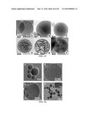 DELIVERY PLATFORMS FOR THE DOMESTICATION OF ALGAE AND PLANTS diagram and image