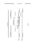 ALFALFA PLANT AND SEED CORRESPONDING TO TRANSGENIC EVENT KK 179-2 AND     METHODS FOR DETECTION THEREOF diagram and image