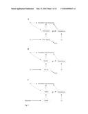 Method for producing natively folded proteins in a prokaryotic host diagram and image