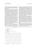 Method for producing natively folded proteins in a prokaryotic host diagram and image