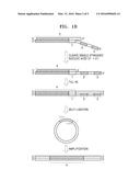 METHOD OF AMPLIFYING TELOMERE diagram and image