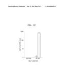 METHOD OF AMPLIFYING TELOMERE diagram and image