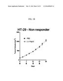 PREDICTION OF EFFECT OF A C-MET INHIBITOR USING MUTATION OF KRAS OR BRAF diagram and image