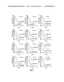 METHODS OF PROGNOSTICALLY CLASSIFYING AND TREATING GLANDULAR CANCERS diagram and image