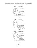 METHODS OF PROGNOSTICALLY CLASSIFYING AND TREATING GLANDULAR CANCERS diagram and image