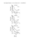 METHODS OF PROGNOSTICALLY CLASSIFYING AND TREATING GLANDULAR CANCERS diagram and image