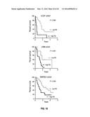 METHODS OF PROGNOSTICALLY CLASSIFYING AND TREATING GLANDULAR CANCERS diagram and image