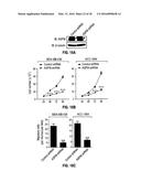 METHODS OF PROGNOSTICALLY CLASSIFYING AND TREATING GLANDULAR CANCERS diagram and image